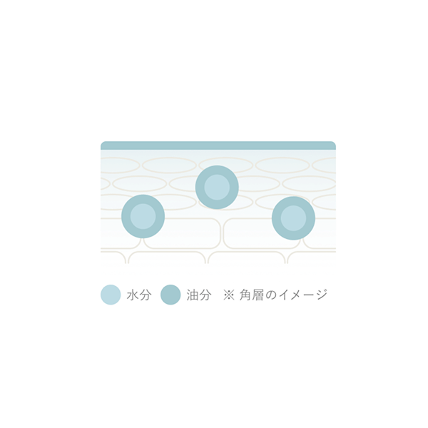 水分と油分が肌の角層に浸透しているイメージのイラスト